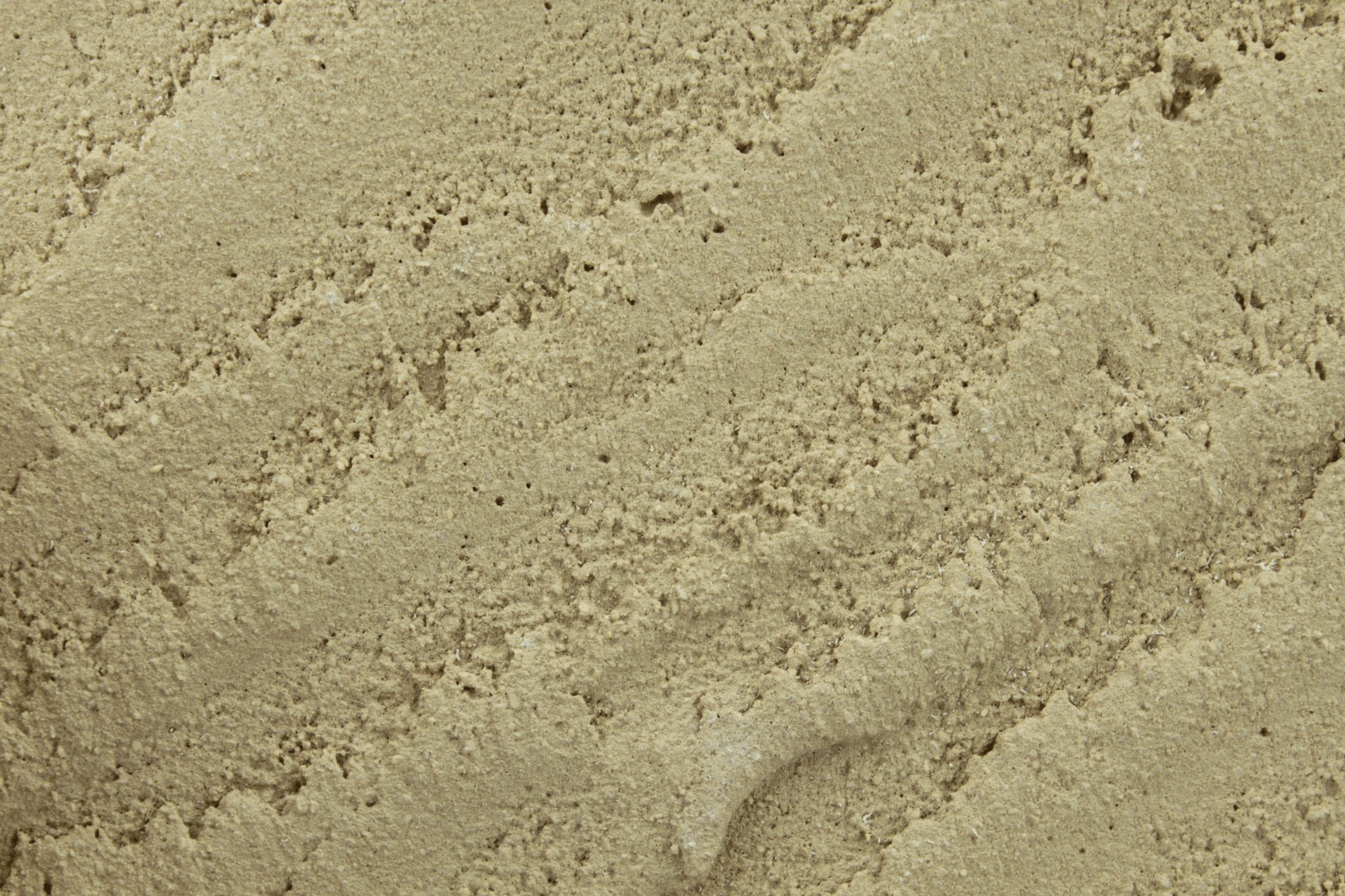 macro texture of sage mist italian aggregate plaster, soft sage green mineral grains