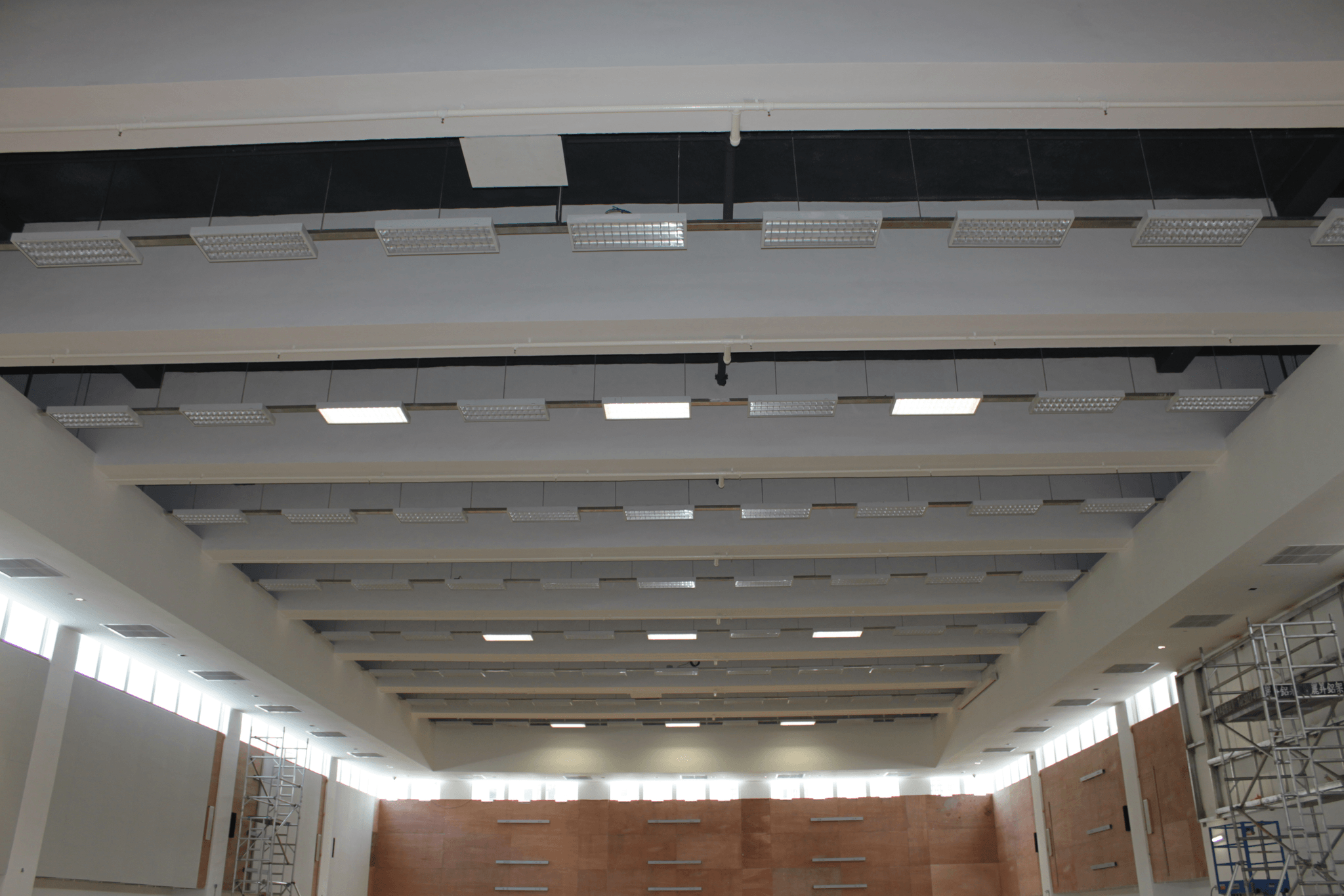contemporary gallery space with bold rough textured ceiling finish, dramatic raking daylight, expressive architectural design
